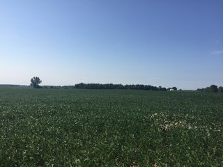 Property photo 17 - INVESTMENT QUALITY FARM LAND AUCTION 418 +/- ACRES IN 10 TRACTS IN AUGLAIZE COUNTY, OHIO